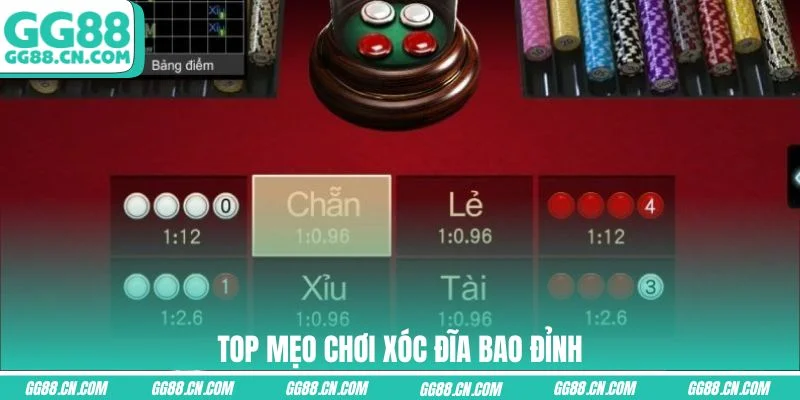 Top mẹo chơi xóc đĩa bao đỉnh Top mẹo chơi xóc đĩa bao đỉnh